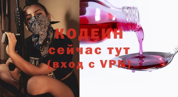 индика Абинск