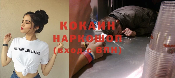 индика Абинск