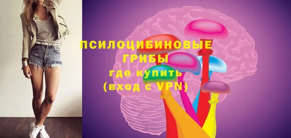круглые Абаза