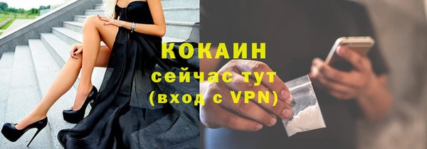 индика Абинск