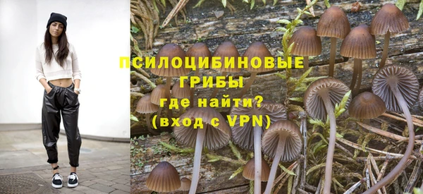 круглые Абаза