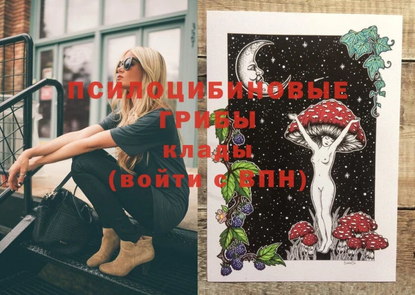 индика Абинск