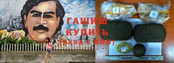 индика Абинск