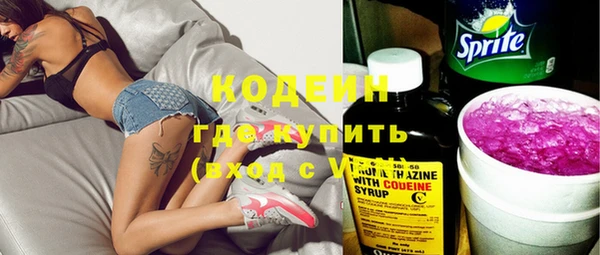 индика Абинск