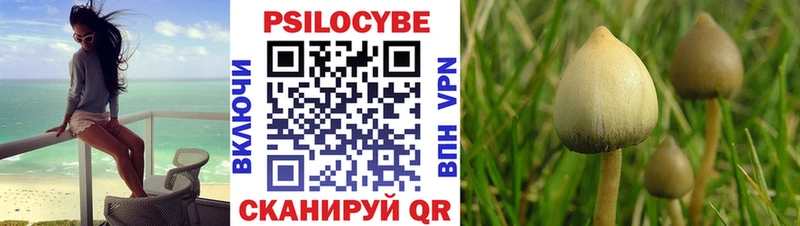 наркотики  Мостовской  Галлюциногенные грибы Psilocybine cubensis 
